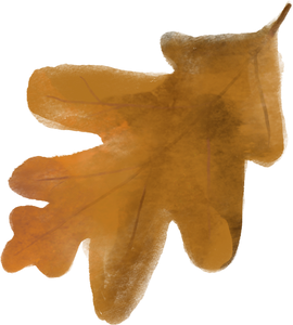 Common Oak Autumn Leaf Traditional Watercolor Thanksgiving